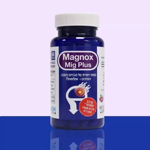 MAGNOX MIG PLUS